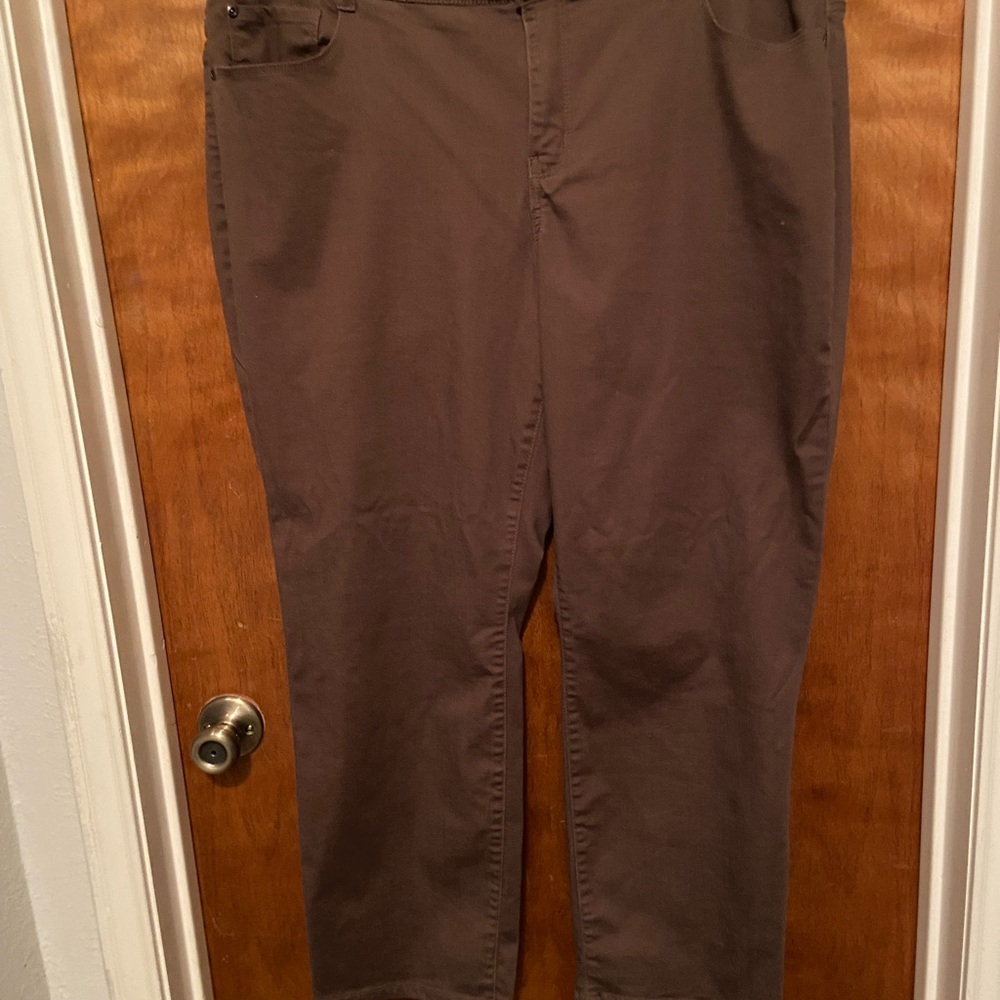 Plus Size Westbound Brown Jeans
